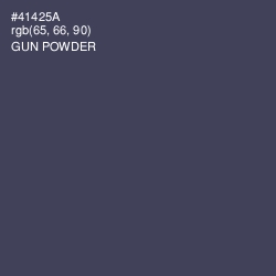 #41425A - Gun Powder Color Image